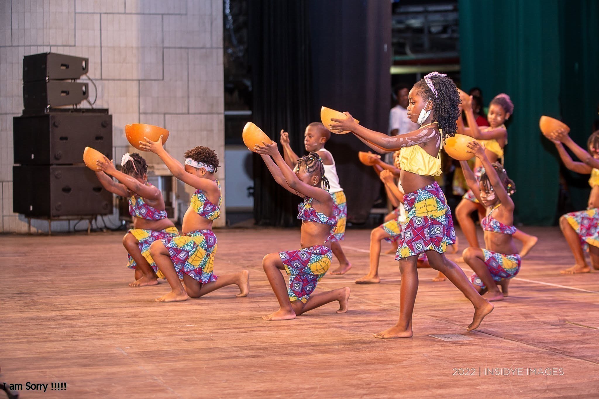 Marcus Garvey Day Gala photograph 11