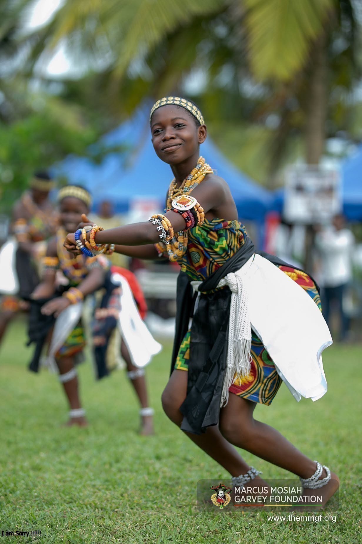 Marcus Garvey Day Gala photograph 30