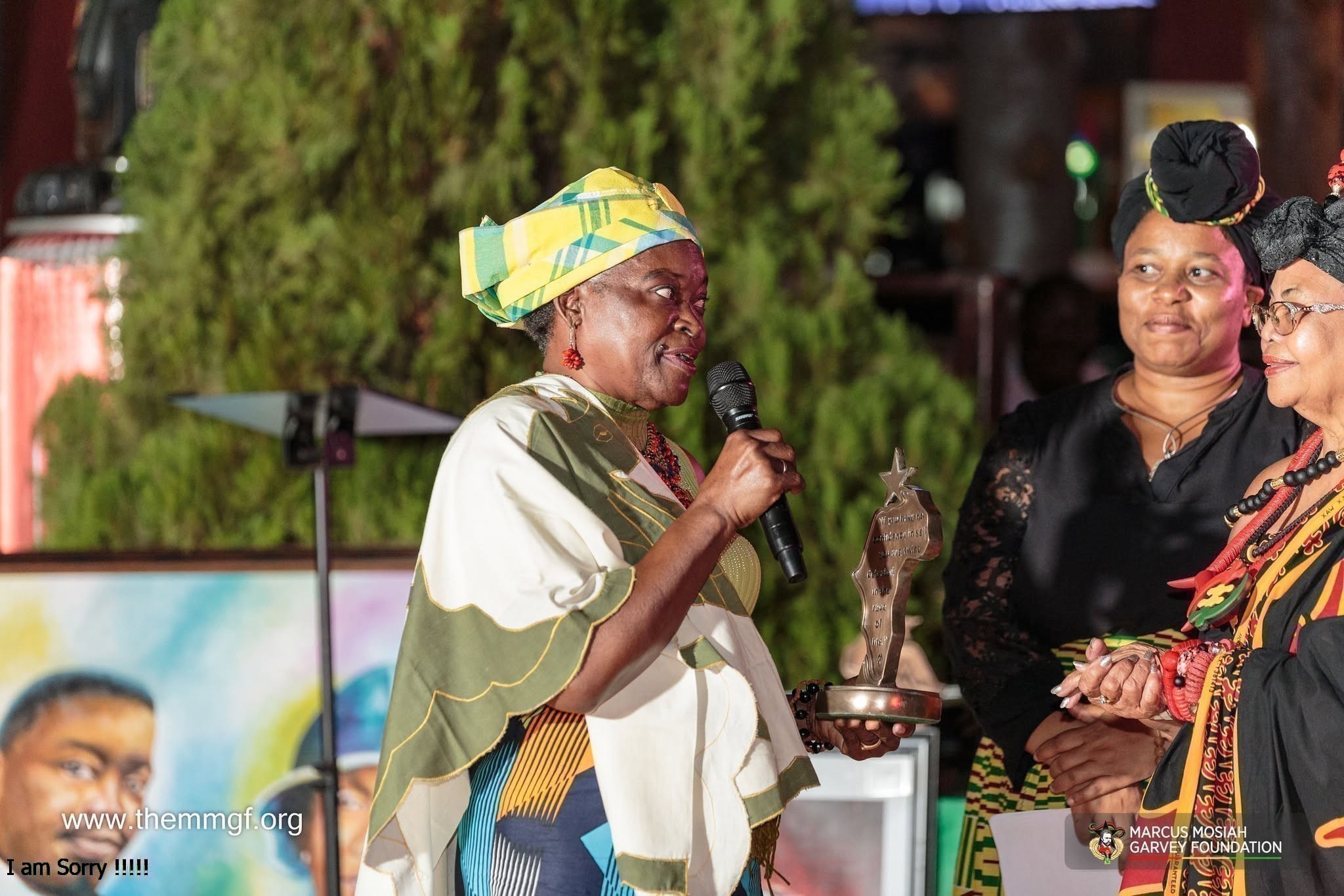 Marcus Garvey Day Gala photograph 58